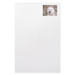 Bichon Frise Smiling Stationery