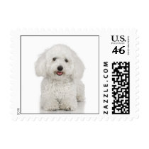 Bichon Frise Stamp (SMALL)