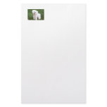 Bichon Frise Stationery