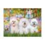 Bichon Frise Trio - Garden (VG) Post Card