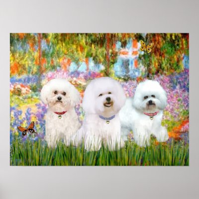 Bichon Frise Trio - Garden (VG) Print by masterpiecedogs