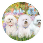 Bichon Frise Trio - Garden (VG) Stickers
