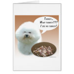 Bichon Frise Turkey Card