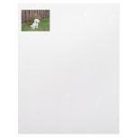 Bichon Frise with Flowers Letterhead