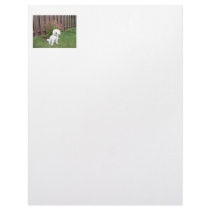 Bichon Frise with Flowers Letterhead