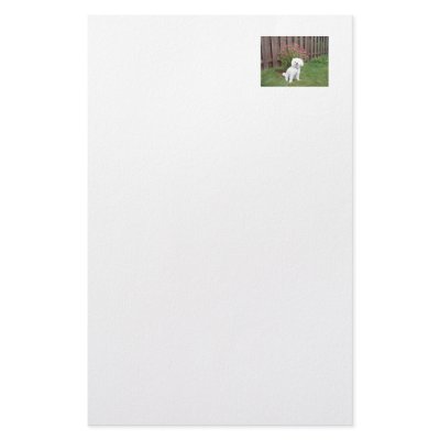 Bichon Frise with Flowers Stationery by walkandbark