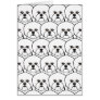 Bichon Frises Greeting Cards