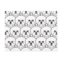 Bichon Frises Post Cards