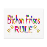 Bichon Frises Rule Postcards