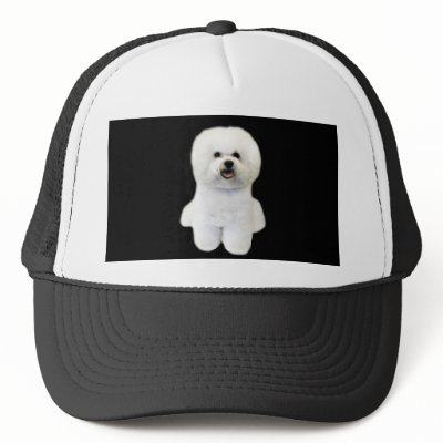 Bichon Hat by normagolden