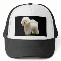 Bichon Hat
