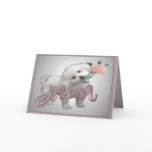 Bichon Mother Day card
