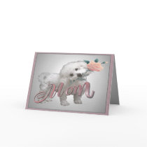 Bichon Mother Day card
