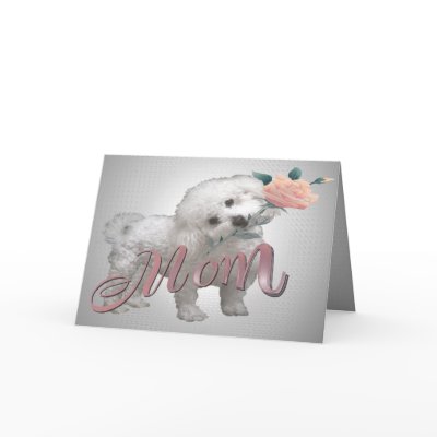 Bichon Mother Day Card by friskybiz