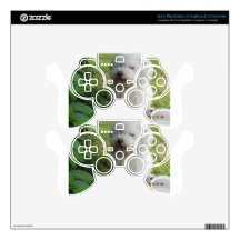BICHON PS3 CONTROLLER SKINS