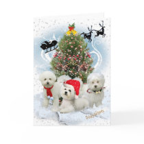 Bichon  Snowy Christmas Day Cards