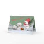 Bichon Wishing you merry christmas cards
