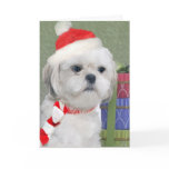 Bichon Xmas Gifts cards