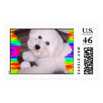 Bichone Frise postage