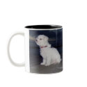 Bichons At Dusk mugs