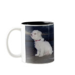 Bichons At Dusk Mugs