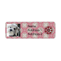 bichoodle address labels