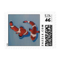 Bickering Clownfish postage by johnstires Bickering Clownfish postage