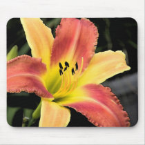 Bicolor Beauty Daylily mousepads