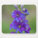 Bicolor Larkspur mousepads by littlewingdesign Bicolor Larkspur mousepads