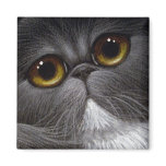 BICOLOR PERSIAN CAT Magnet