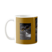 BICOLOR PERSIAN CAT Mug