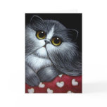 BICOLOR PERSIAN CAT - VALENTINE'S Card