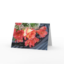 BiColorRose/Alstromeria Greeting Cards