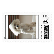BiconPoo postage