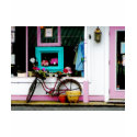 Bicycle by Antique Shop shirt