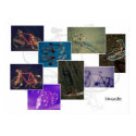 Bicycle Collage posters by bixxman Bicycle Collage posters