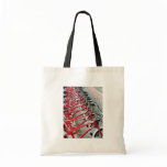 Bicycle Cycle Bicycling Cycling Barcelona Spain Bags