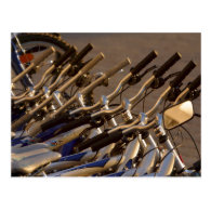 Bicycle Cycle Bicycling Cycling Line Up Postcards