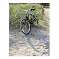 Bicycle Cycle Bicycling Cycling Miami Beach Postcards