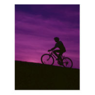 Bicycle Cycle Bicycling Cycling Purple Sunset Postcard