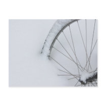 Bicycle Cycle Bicycling Cycling Snow Ice Postcards