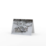 Bicycle Cycle Bicycling Cycling Waiting For Spring Card