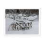 Bicycle Cycle Bicycling Cycling Waiting For Spring Postcards