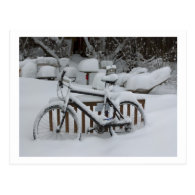 Bicycle Cycle Bicycling Cycling Waiting For Spring Postcards