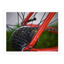 Bicycle Cycle Bicycling Cycling Wheel Sproket Post Cards