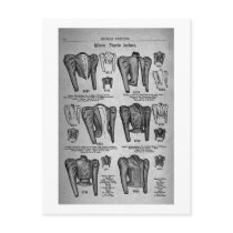 Bicycle Fashions1897 - Vintage postcards