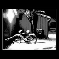 Bicycle graphic postcard postcards