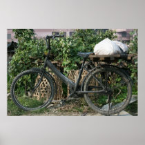 Bicycle in Taipei garden, Taiwan Poster