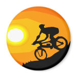 bicycle magnet