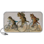 bikes, cats, animals, animal, kitten, puppy, dogs,